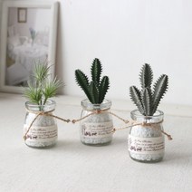 인테홀릭 초록이 가득한 싱그러운 조화 소품, 선인장 유리병(진그린선인장), 1개