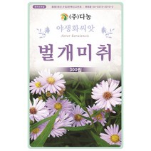 사루비아 1.5g - 야생화 씨앗 꽃씨 씨 꽃씨앗 사루비아씨앗 사루비아씨 야생화씨 야생화씨앗 꽃 샐비어 깨꽃 약불꽃 서미초, 23_다농_벌개미취(300립)