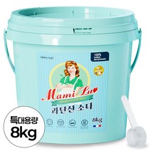 맘스럽 과탄산소다 버킷 초대용량 프리미엄 1등급원… 솔직 후기 및 장단점 분석 - 구매 가이드