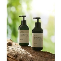 비욘드 NEW 힐링포스 스캘프클리닉 샴푸 500 ml(비건) + 트리트먼트 mL(비건) 2종구성 (택 1) 스캘프 클리닉 2종 구성 294346, 힐링포스 샴푸(비건) & 트리트먼트(비건)