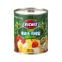 (주)동서 후르츠칵테일 캔, 850g, 12개