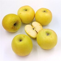 [더조은푸드] 황금사과 시나노골드(정품) 3kg (15과), 시나노골드 정품 3kg (15과)