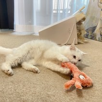 고양이 흐리멍텅 인형 장난감 바스락 캣닢 캣잎 캣잇 캣닙 깨무는 아기 입질 이갈이 새끼, 코끼리