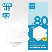 KF80 국내산 황사 미세먼지 일회용 대형 마스크 500매 바이오셀프케어
