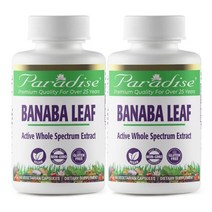 파라다이스허브 고용량 바나바잎 추출물 코로솔산 고약사 250mg 60캡슐 2개월분 2통, 60정, 2개