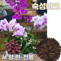 숙성바크18L 중립 서양란 화분갈이전용 소나무껍질바크 아로니아 블루베리전용 원예 조경용 파충류바닥재