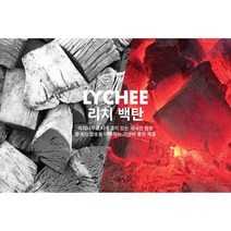 참숯 리치 백탄 차콜 바베큐숯 캠핑숯 고기숯, M