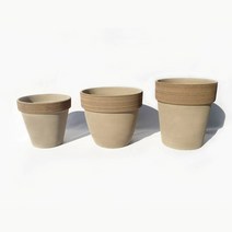 모두의가든 특대형 이태리토분 바소 팔라디오 알토 (31~40) 인테리어 화분, 5. 볼케이노 그래피도