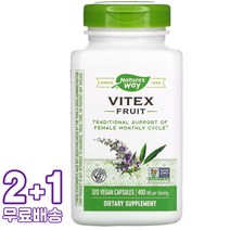 네이처스웨이 바이텍스 프루트 400mg 비건 320캡슐 3통, 1개, 기본