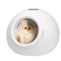 고양이 드라이룸 원형 털말리기 저소음, 그린 800w