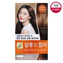 엘라스틴 살롱드컬러 오렌지브라운 염색약(새치용 자연스러움) 100g, 1개