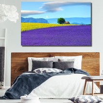 유홍아트 보랏빛 튤립 와이드 풍경 사진 그림 액자 6호(41x27cm) (5729181)