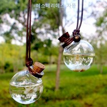 플라워 볼 색상랜덤 차량용 룸미러 방향제 자몽 1p