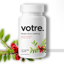 역류성 식도염에 효과 좋은 보트레 메스틱검 1000mg 120정