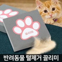 더레인보우 카페트 이불 고양이 강아지 반영구 털제거 끌리미