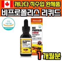 로얄 비 프로폴리스 리퀴드 액상 액체 캐나다 무알콜 플라보노이드 폴리폴리스 스포이드 맛있는 캐나다산