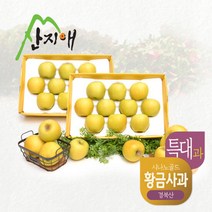산지애 시나노골드 특대과 6kg, 단품