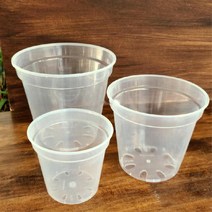 플라스틱 투명화분 삽목 슬릿화분 6cm 10개 포트판 봄
