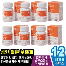 여성남성빈혈 불면증완화 철분제 안면떨림 빈혈영양제 질병감염예방 창백한피부 도파민 산후영양제 체온조절도움 어지러울때 철분영양제 탈모증상 식욕부진 철분이많은음식 호흡곤란 신진대사촉진