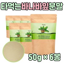 바나바 마나바 잎 입 추출 분말 가루 대용량 온가족 뿌려 먹는 쉐이크 주스 음료 물 워터 티 바나나 인도네시아 할머니 할아버지 시 어머니 아버지 생일 생신 선물 추천 영양 간식