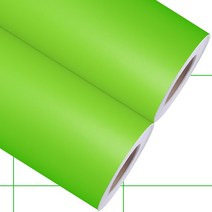 LX하우시스 ZIN인테리어필름 시트지 (애플그린), ES88 (길이 10cm)