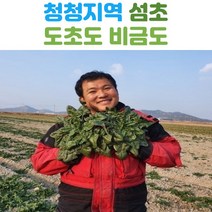 신안 도초도 섬초 시금치 1kg 2kg 3kg 4kg, 명품섬초 4kg, 1개