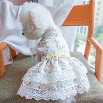 소녀용 데이지 디자이너 강아지 옷 드레스 레이스 에지 봄 투투 스커트 새끼 고양이용 스위트 핑크 공주 고양이 애완 동물 의류 여름, XL, beige