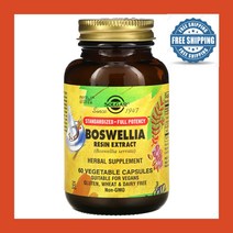 Solgar 솔가 보스웰리아 수지 추출물 유향 Boswellia Resin Extract 60배지캡슐 스테아르산마그네슘 Magnesium Stearate