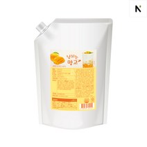 네이쳐티 넘치는 망고 1KG, 1개