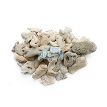 산호사 [20mm이상], 단품