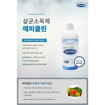 살균소독제 Epiclean(에피클린) 1L, 6