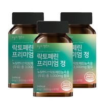 오늘의밸런스 락토페린 프리미엄 정, 60정, 3개