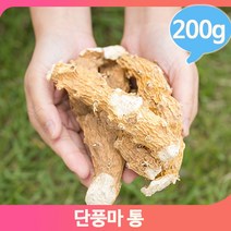 단풍잎 모양 마뿌리 200g 통 단풍마 건조 약재 건강차