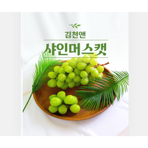탱글달콤 고당도 김천앤 샤인머스캣 프리미엄 추석 선물세트, 상등급 샤인머스켓 1.5kg 4수