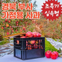 초특가 못난이사과 햇사과 경북 부사 가정용 흠집 흠 주스용 쥬스용 즙용 고당도 미시마 미안마 후브락스 로얄 한입 미니 꼬마 사과 꼬마과 소과 중소과 중과 중대과 대과 4kg 9kg, (g) 가정용 사과 9kg 소과 (54개 내)