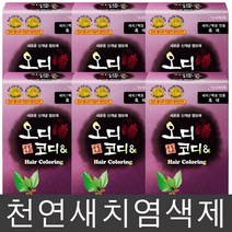 오디코디 오디코디앤 헤어컬러, 흑색, 6박스