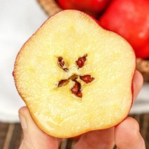 영주 미니 고당도 별사과 중소과 1박스 (500g) + (1.2kg), 별사과 1박스1.2kg