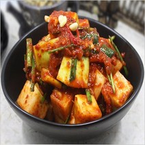 올댓리빙 강원도 청정 김치 깍두기 5kg, 1개