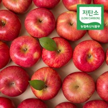 경북 의성 저탄소인증 홍로 부사 사과 정품, 1박스, 당도선별 사과 3kg 중과