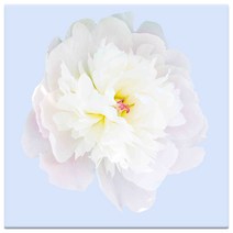 모란꽃 33종 돈들어오는 그림 한국화 캔버스액자 인테리어액자 거실액자 침실액자, 모란꽃14