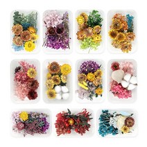 [몽파] 프리저브드 플라워 혼합 대 (11종 택1), 2. 핑크목화