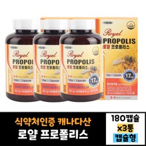 식약처인증 3통 묶음 캐나다 royal 프로폴리스 180캡슐 먹는법 효능 효과 30대 40대 50대 60대 남자 여자