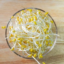 천연암반수로 키운 꼬불이 콩나물 1kg, 단품