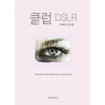 클럽 DSLR:최예원 소설집, 문학세계사, 최예원