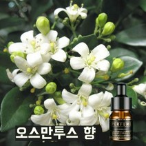 에이스티 - 자동차 태양능 방향제 리필오일 차량용 고급 프리미엄 향수, 오스만투스 향수(계화)/1개