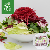 의령농산 유알팜 당일채소 당일제조 당일발송 스윗 믹스 샐러드 1kg, 스윗혼합믹스 샐러드 1kg