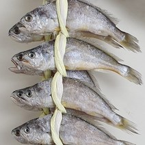 법성포 영광 굴비 보리굴비 선물세트 명절선물 참굴비 구이 가정용, 1.6kg-20미