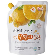 꽃샘 별난알맹이 한라봉 과일청 농축액 500g, 1개