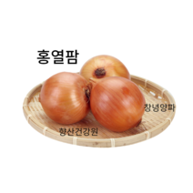 고지혈증영양제 양파즙100포, 당뇨양파즙
