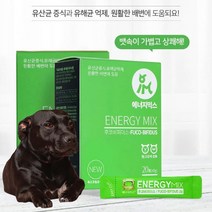 강아지 장 건강 면역 강화 배변 소화 유산균 설사 기호성 좋은 고양이 반려견 애견 노견 노령견 반려묘 비타민 미네랄 영양제, 1개